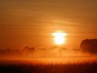 Golden Mist 2   The sun was now higher casting its golden glow even further across the landscape.