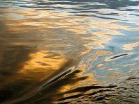 Water Mosaic 1   I think Physics provides an explanation for this - but who cares!